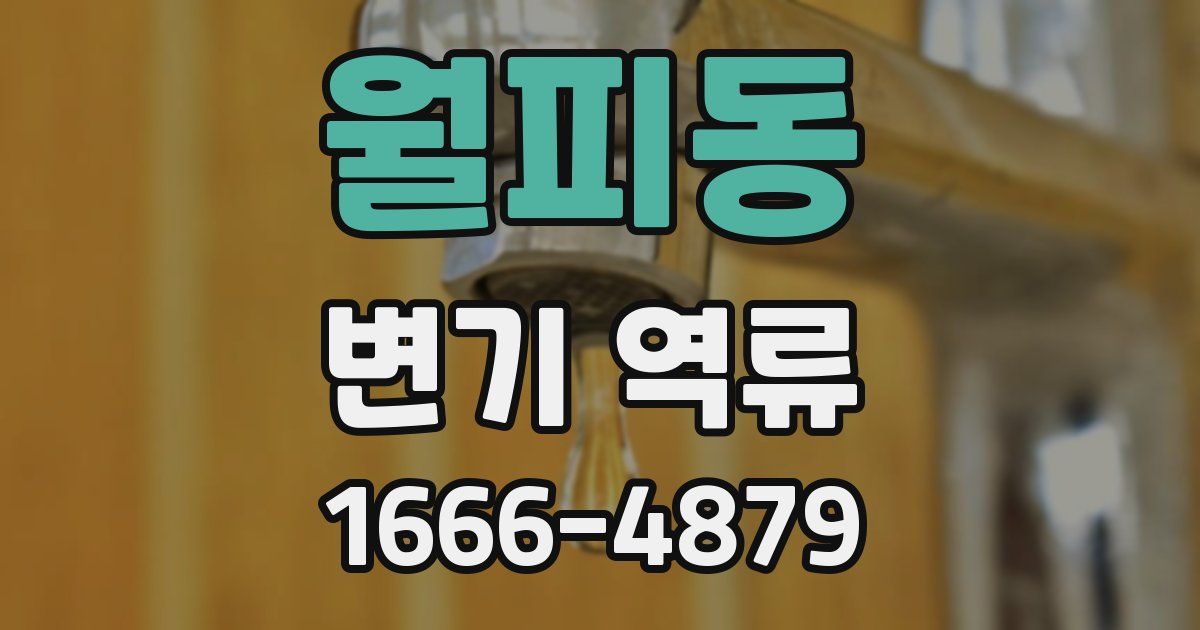 월피동 변기 역류