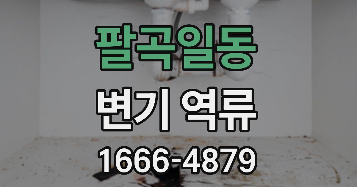 팔곡일동 변기 역류