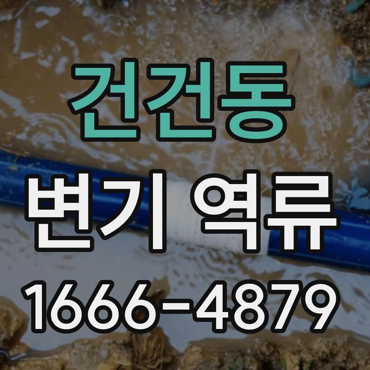 건건동 변기 역류