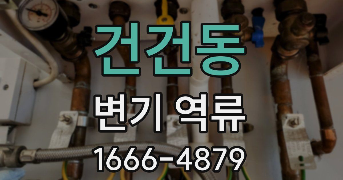건건동 변기 역류