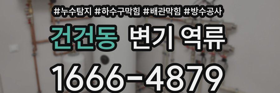 건건동 변기 역류