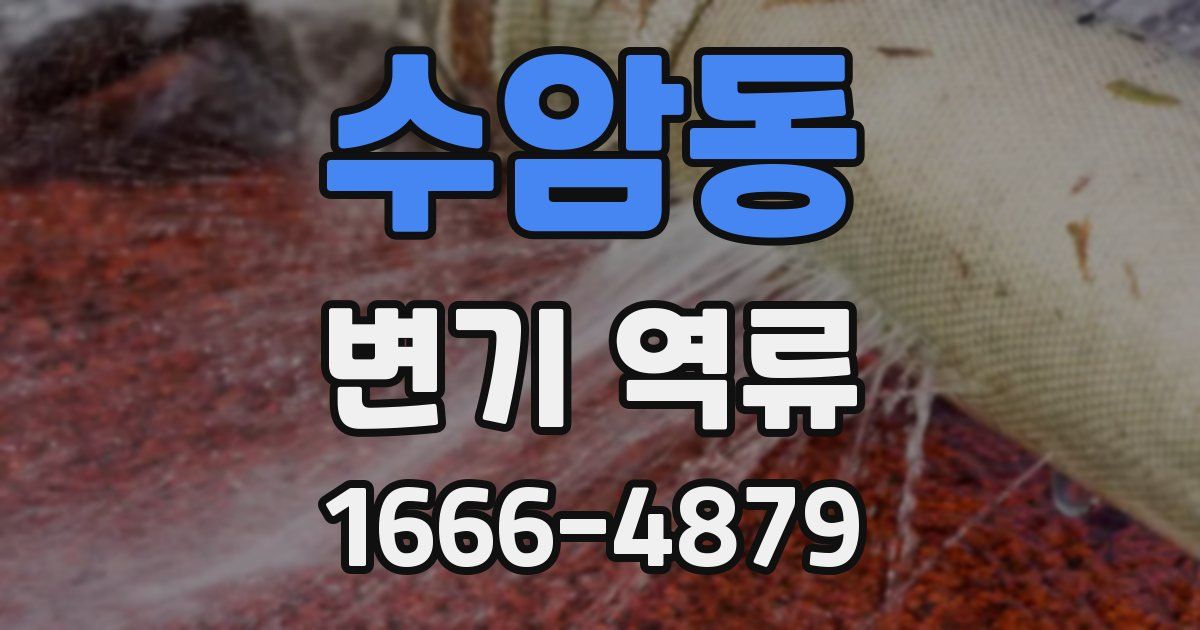 수암동 변기 역류
