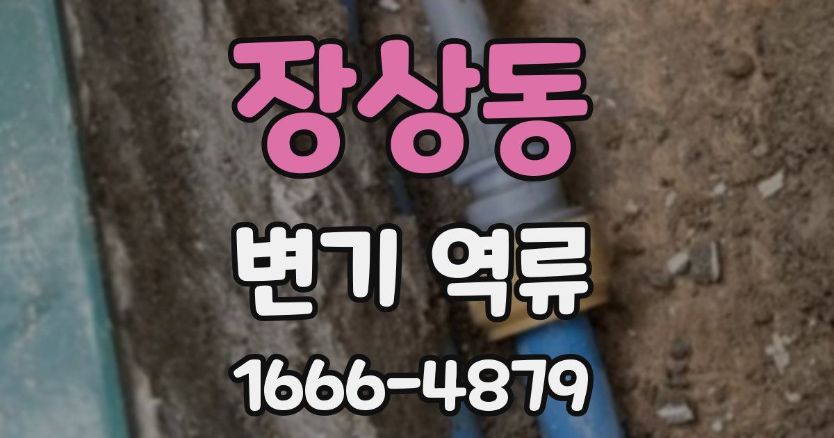 장상동 변기 역류