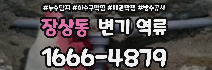 장상동 변기 역류