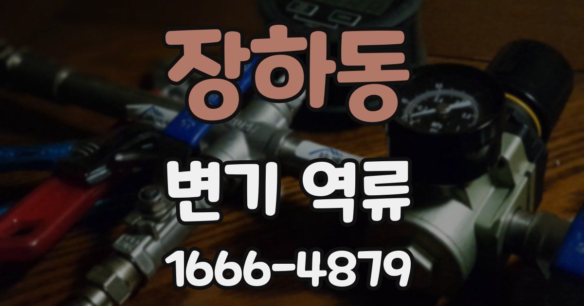 장하동 변기 역류