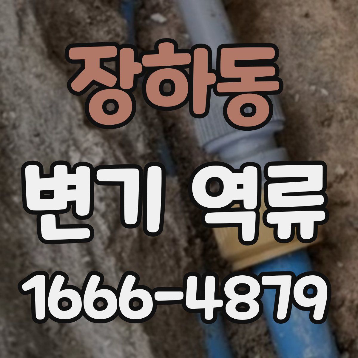 장하동 변기 역류