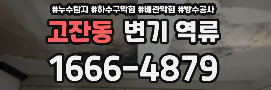 고잔동 변기 역류