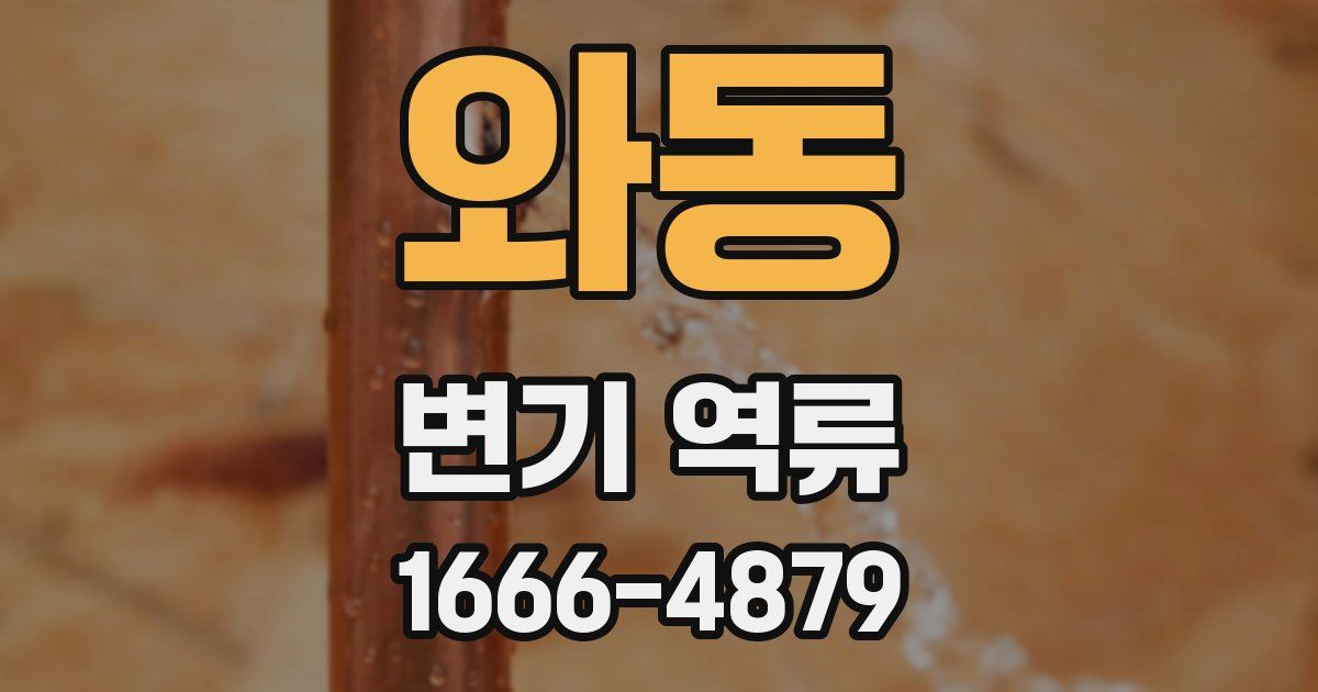 와동 변기 역류