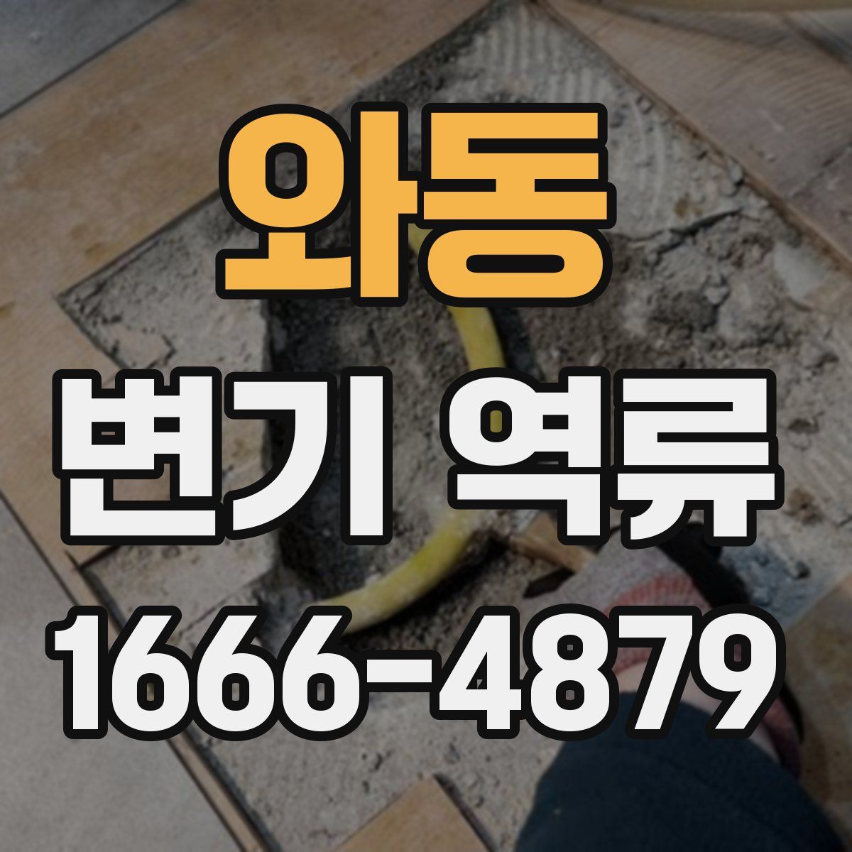 와동 변기 역류