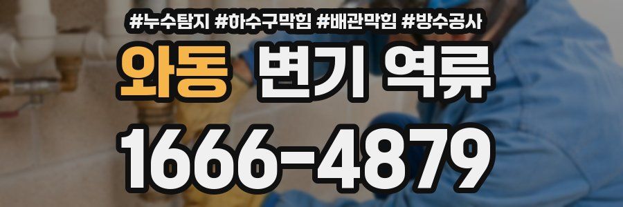 와동 변기 역류