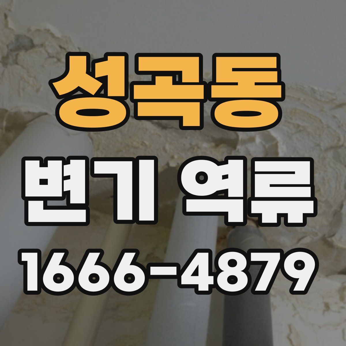 성곡동 변기 역류