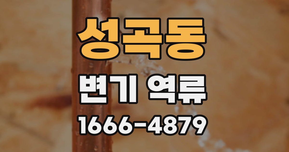 성곡동 변기 역류