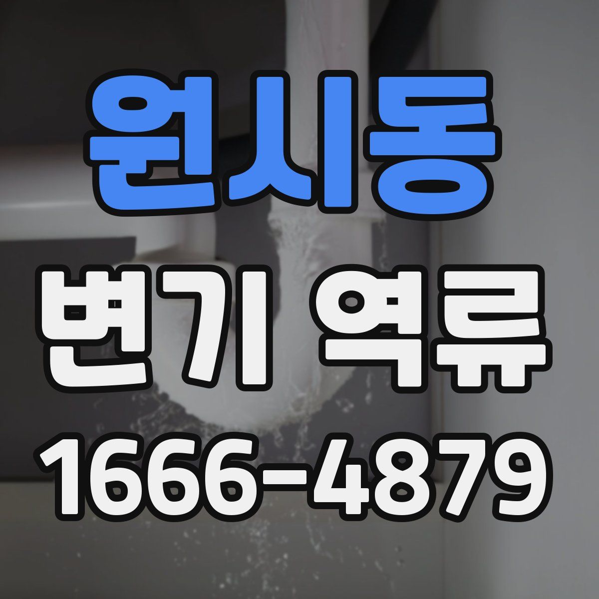 원시동 변기 역류