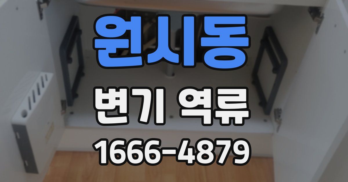 원시동 변기 역류