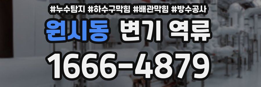 원시동 변기 역류