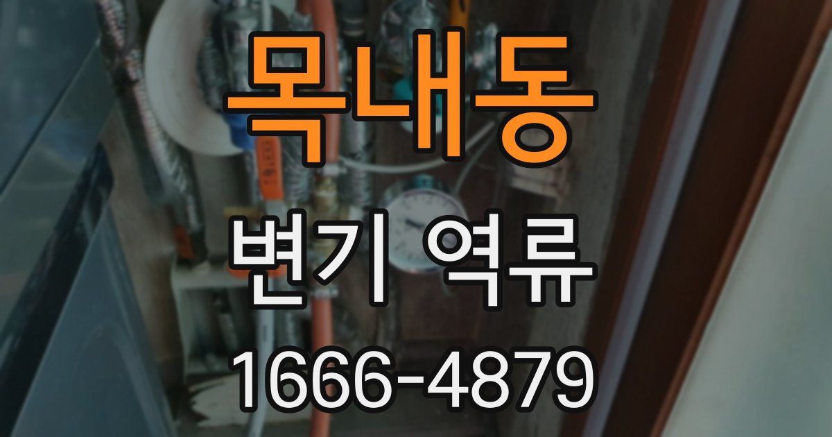목내동 변기 역류