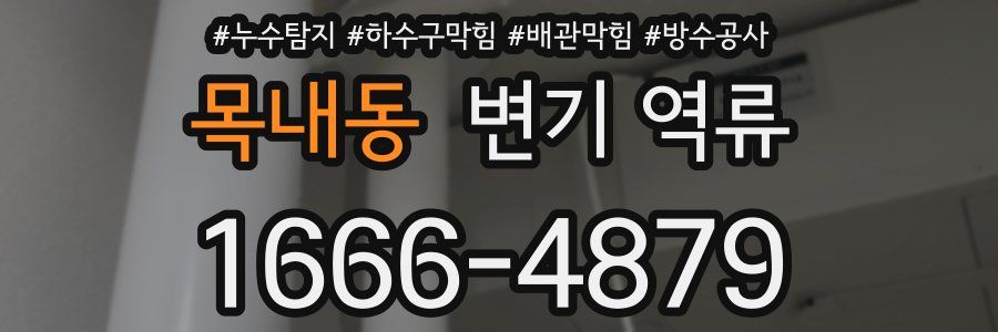 목내동 변기 역류