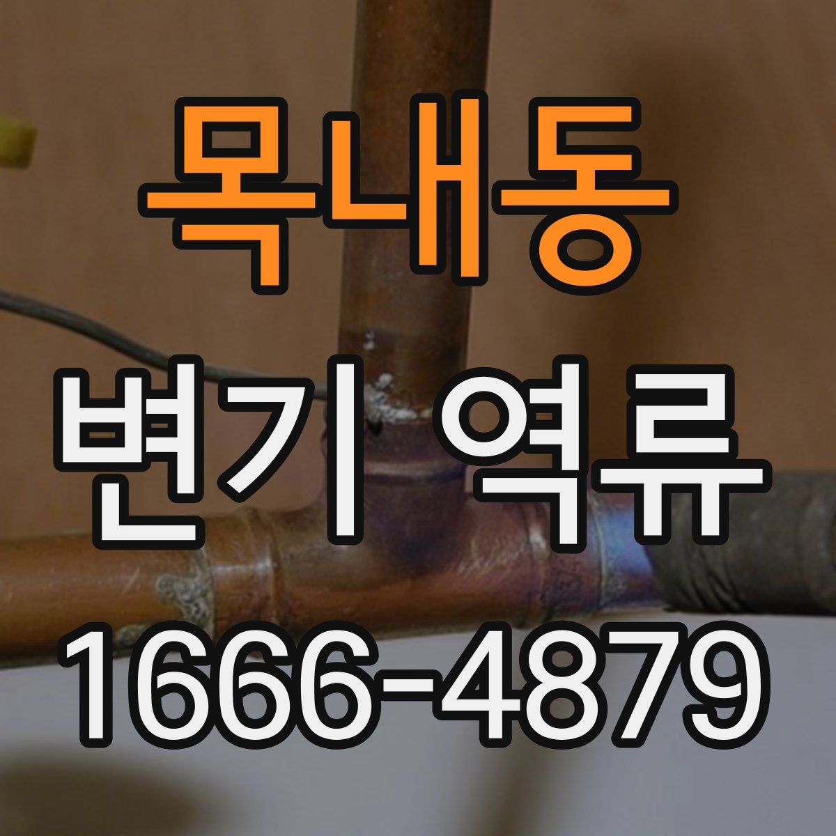 목내동 변기 역류