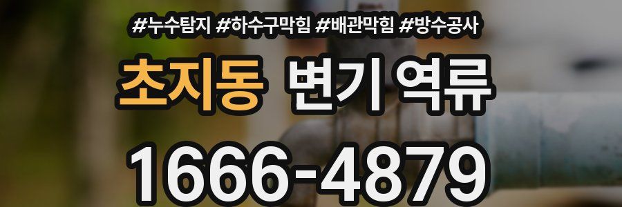 초지동 변기 역류