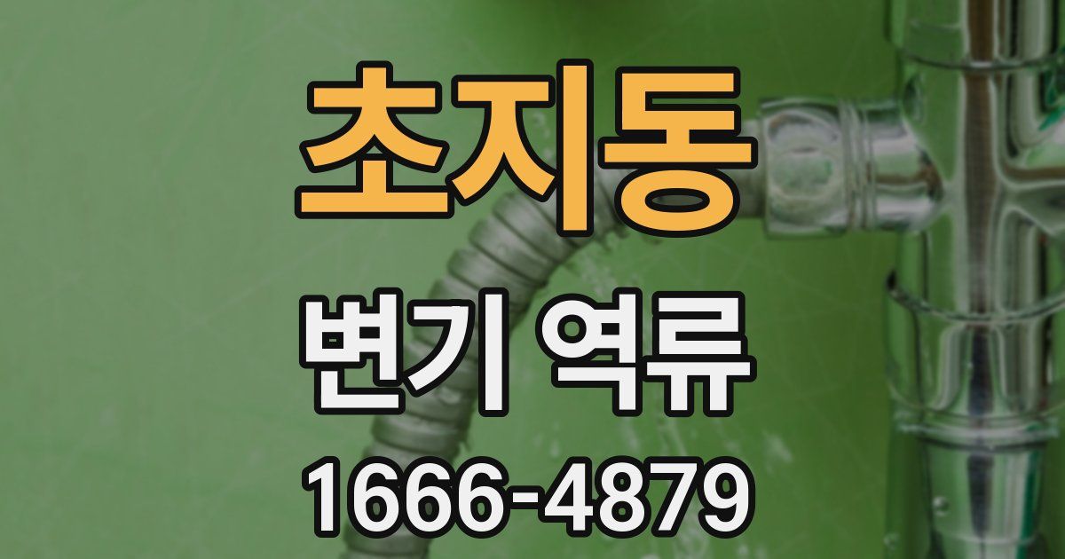 초지동 변기 역류