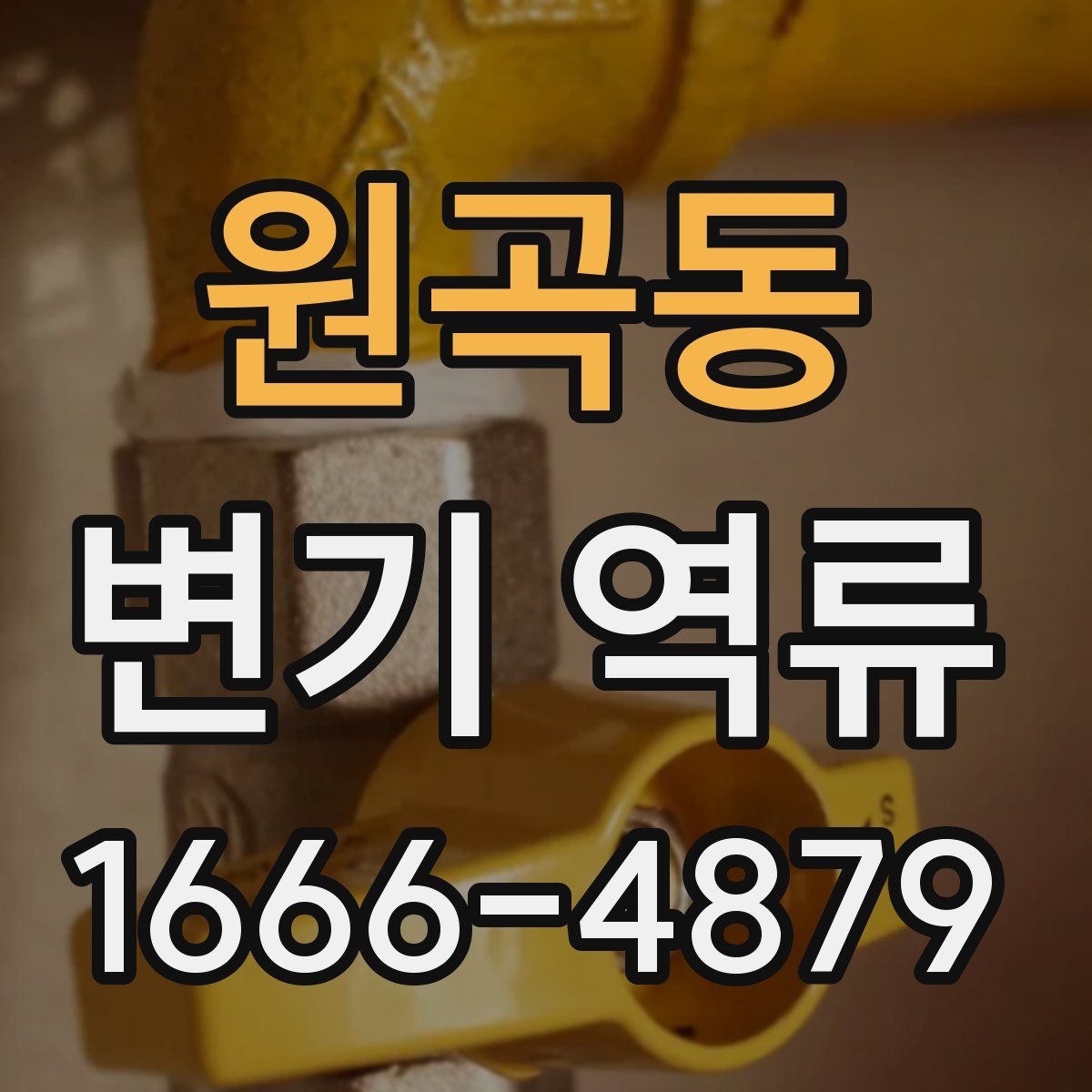 원곡동 변기 역류