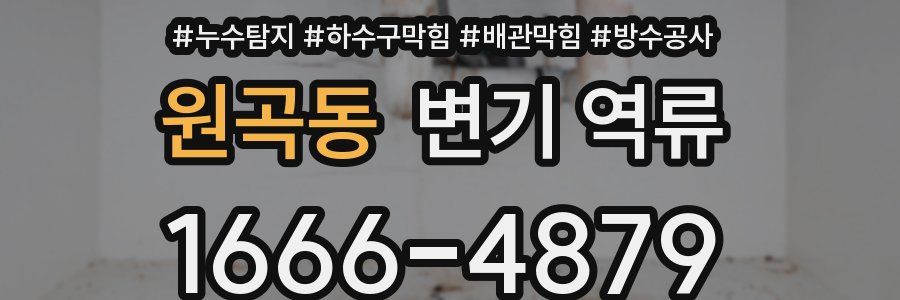 원곡동 변기 역류