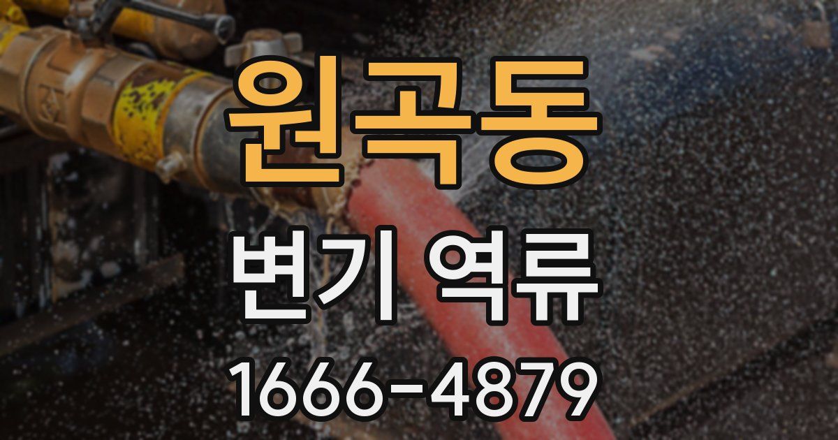 원곡동 변기 역류