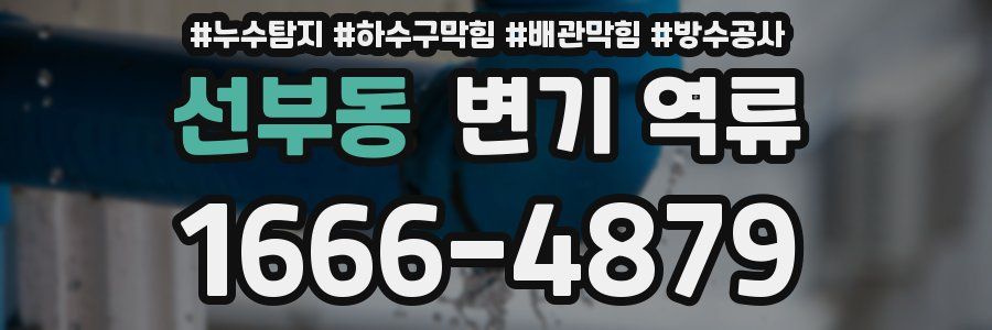 선부동 변기 역류