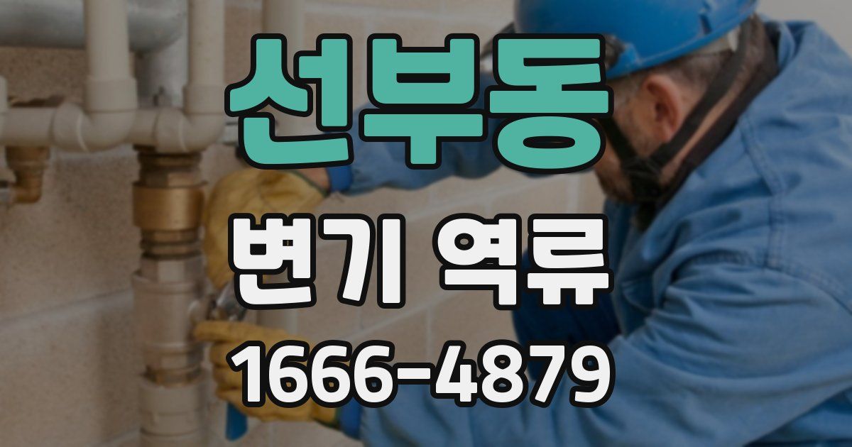 선부동 변기 역류