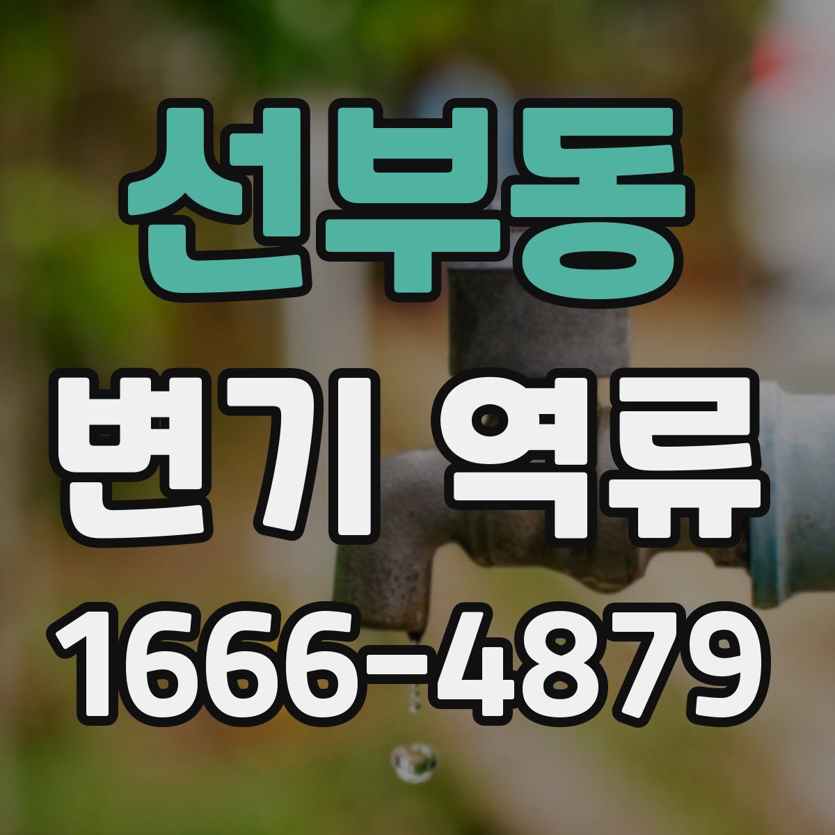 선부동 변기 역류