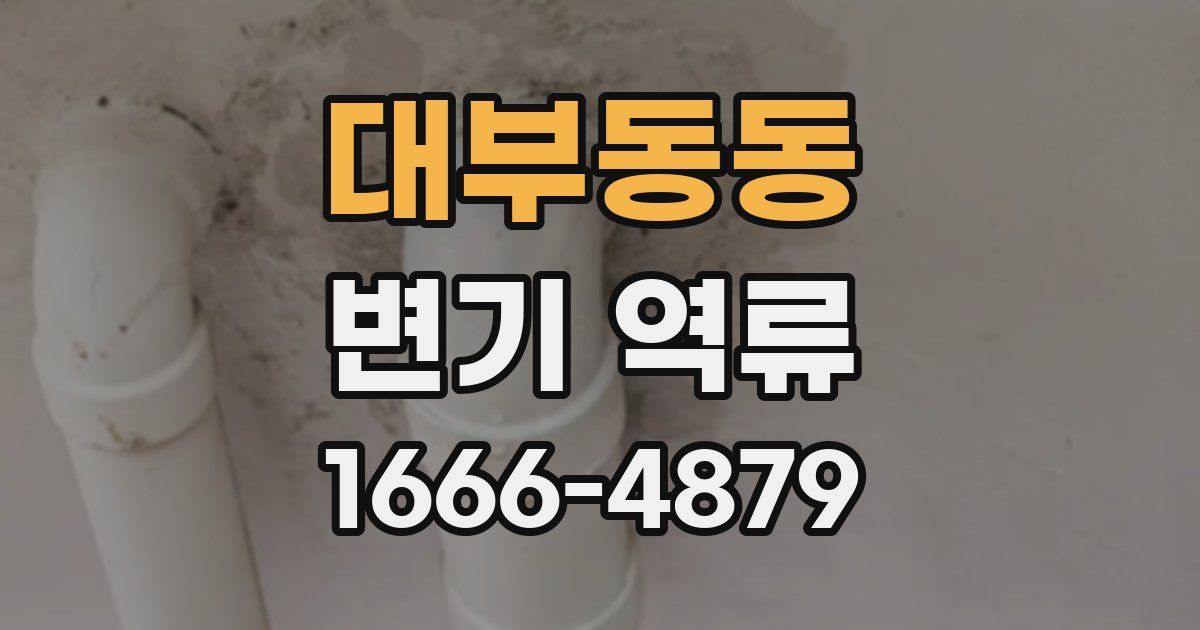 대부동동 변기 역류