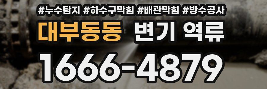 대부동동 변기 역류