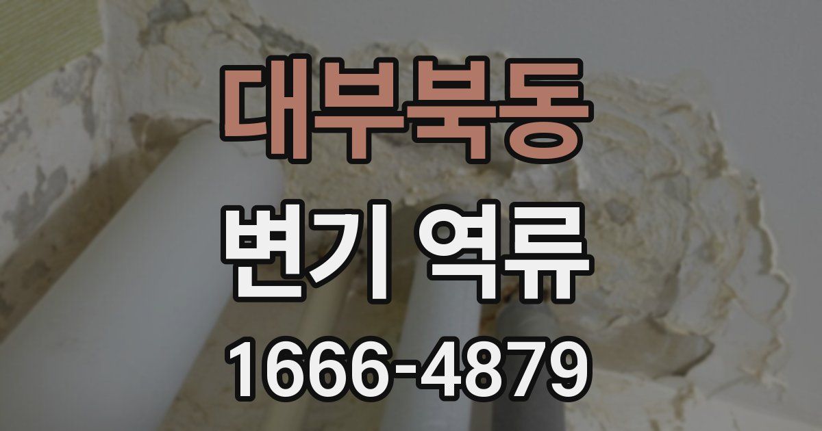 대부북동 변기 역류