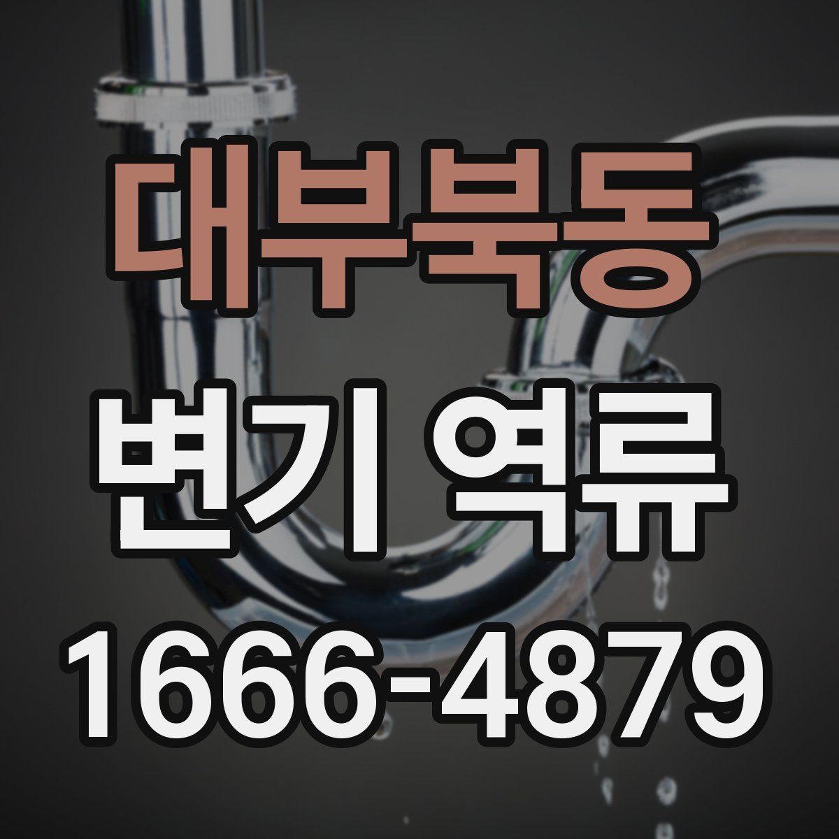 대부북동 변기 역류