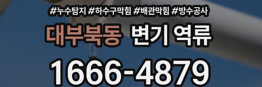 대부북동 변기 역류