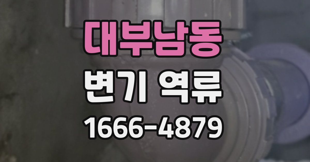 대부남동 변기 역류