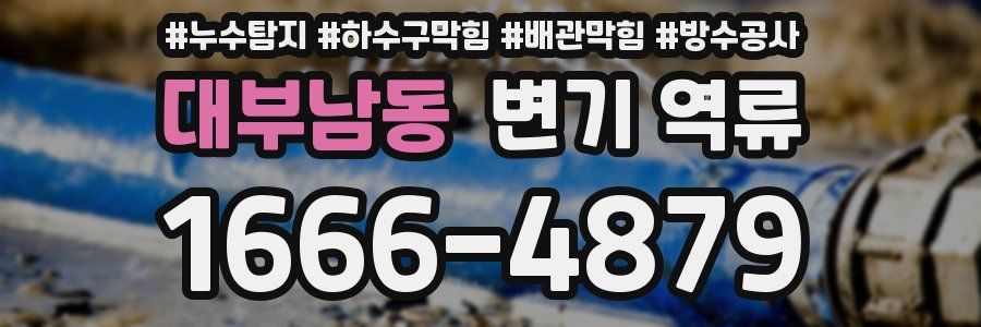 대부남동 변기 역류