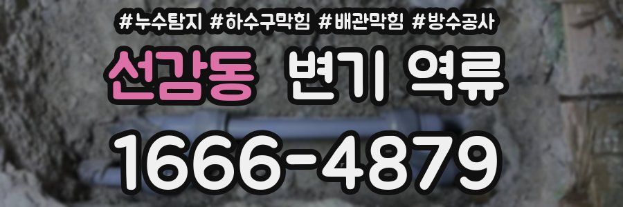 선감동 변기 역류