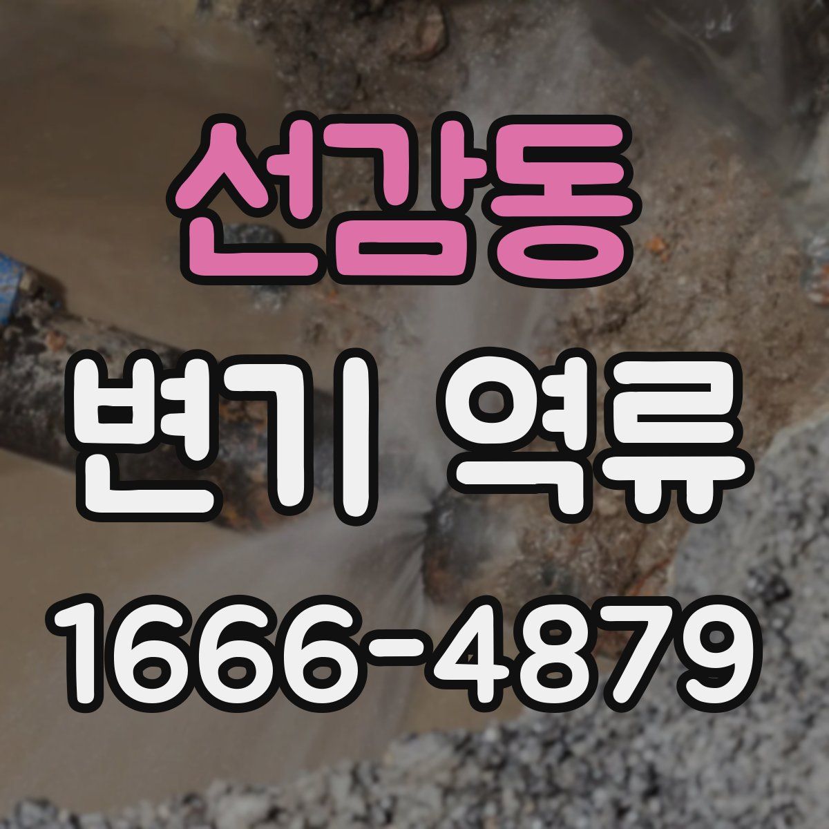 선감동 변기 역류