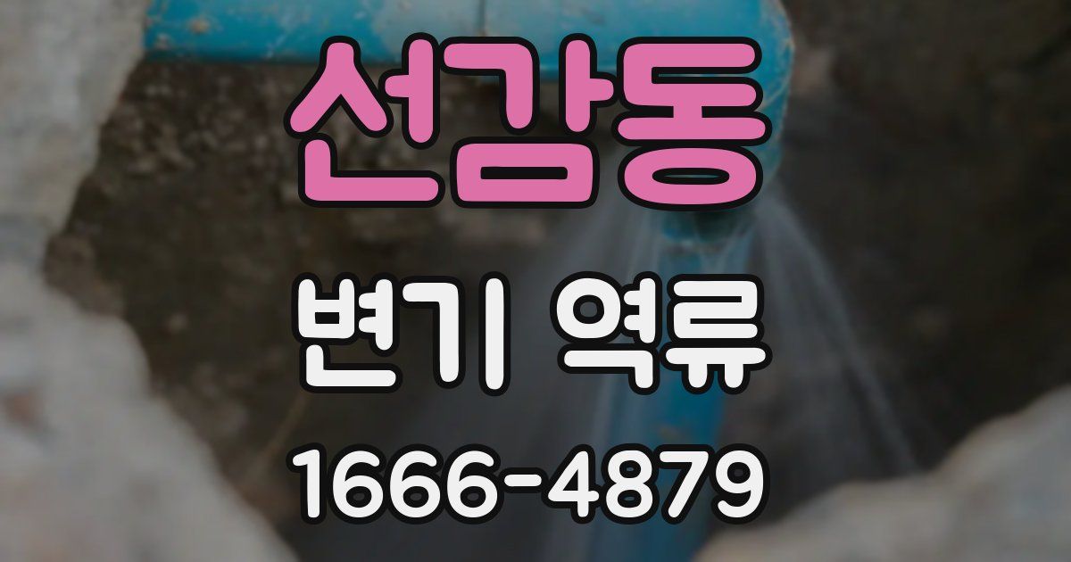 선감동 변기 역류