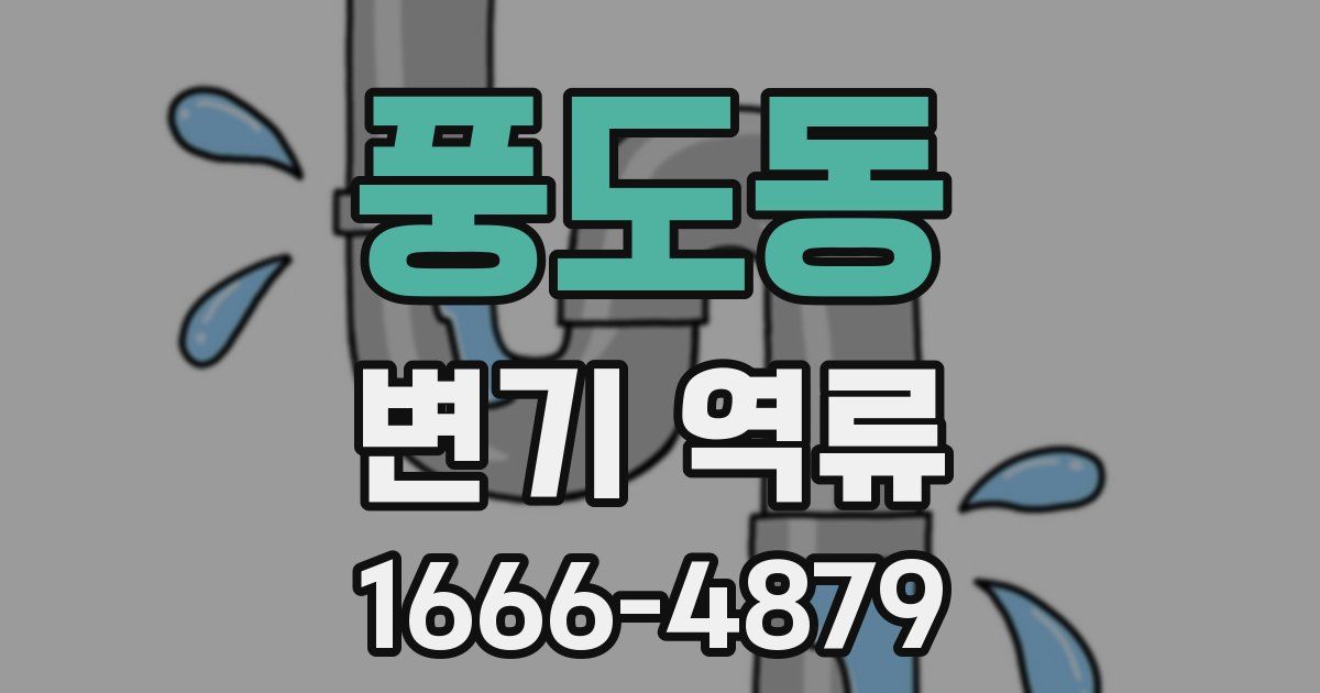 풍도동 변기 역류