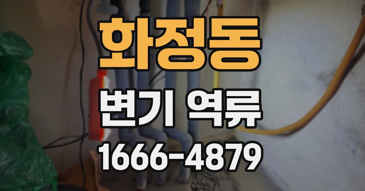 화정동 변기 역류