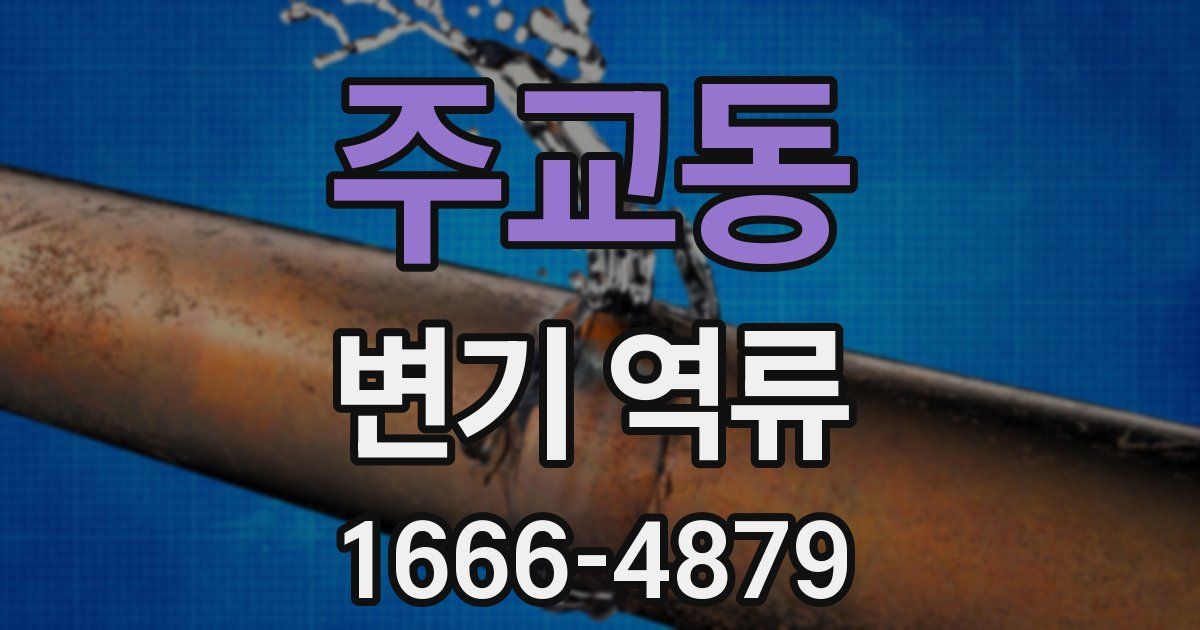 주교동 변기 역류