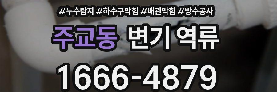주교동 변기 역류