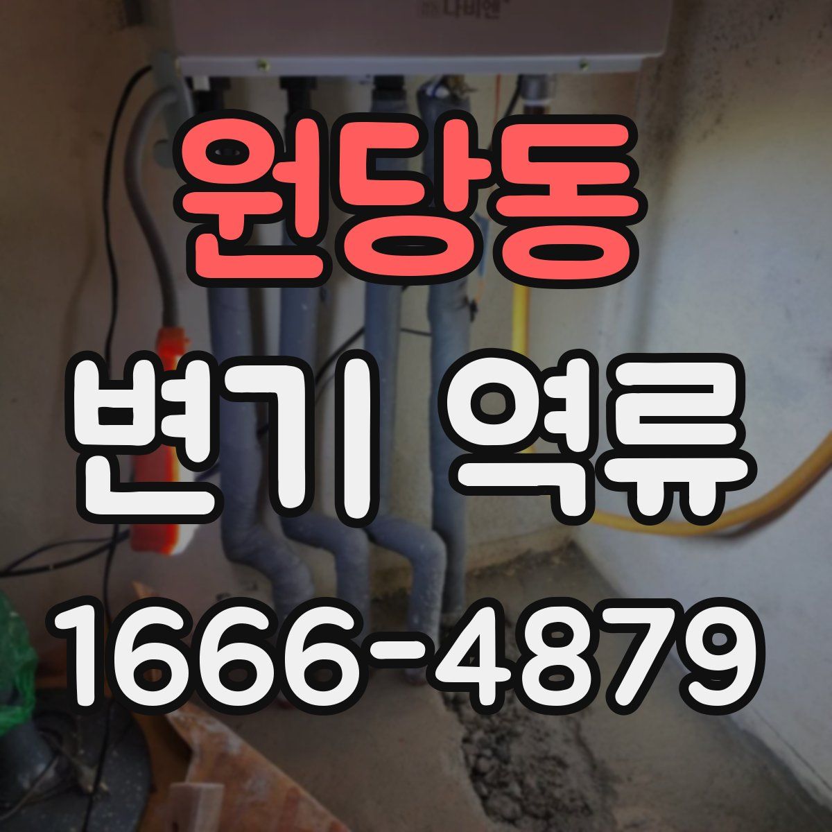 원당동 변기 역류