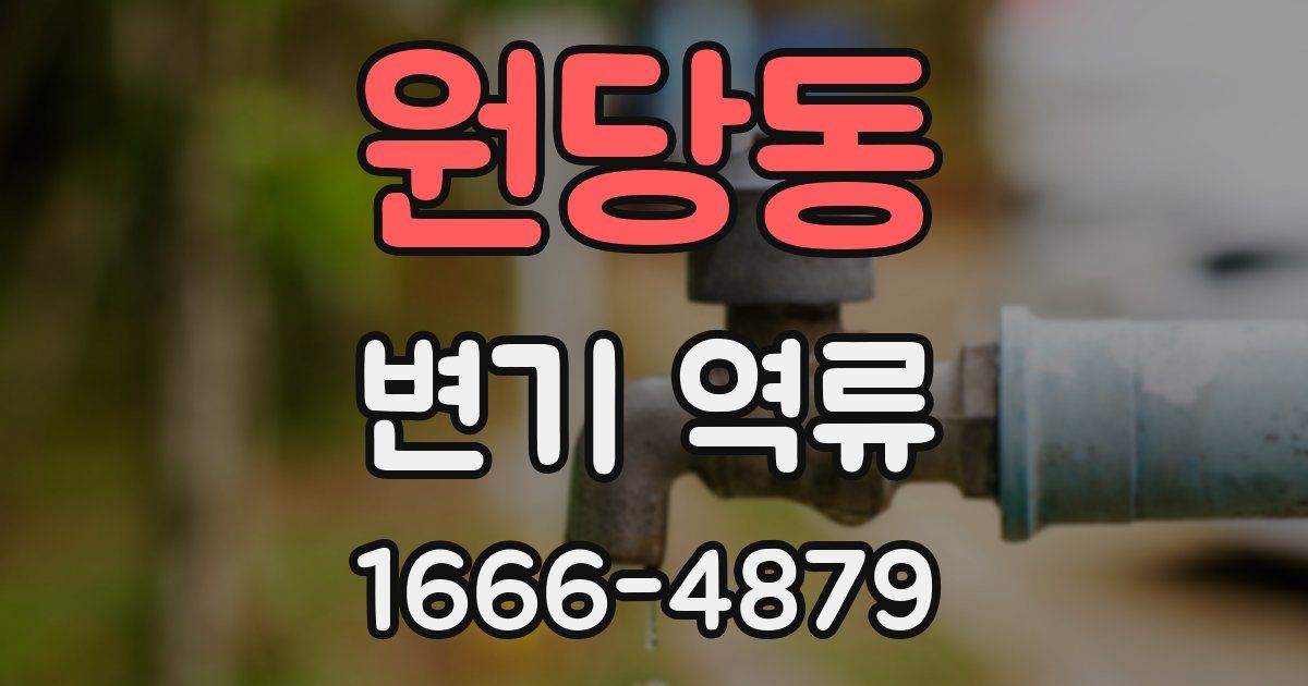원당동 변기 역류