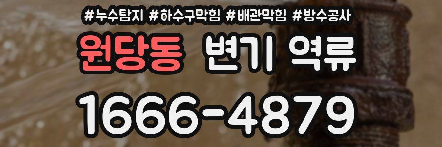 원당동 변기 역류