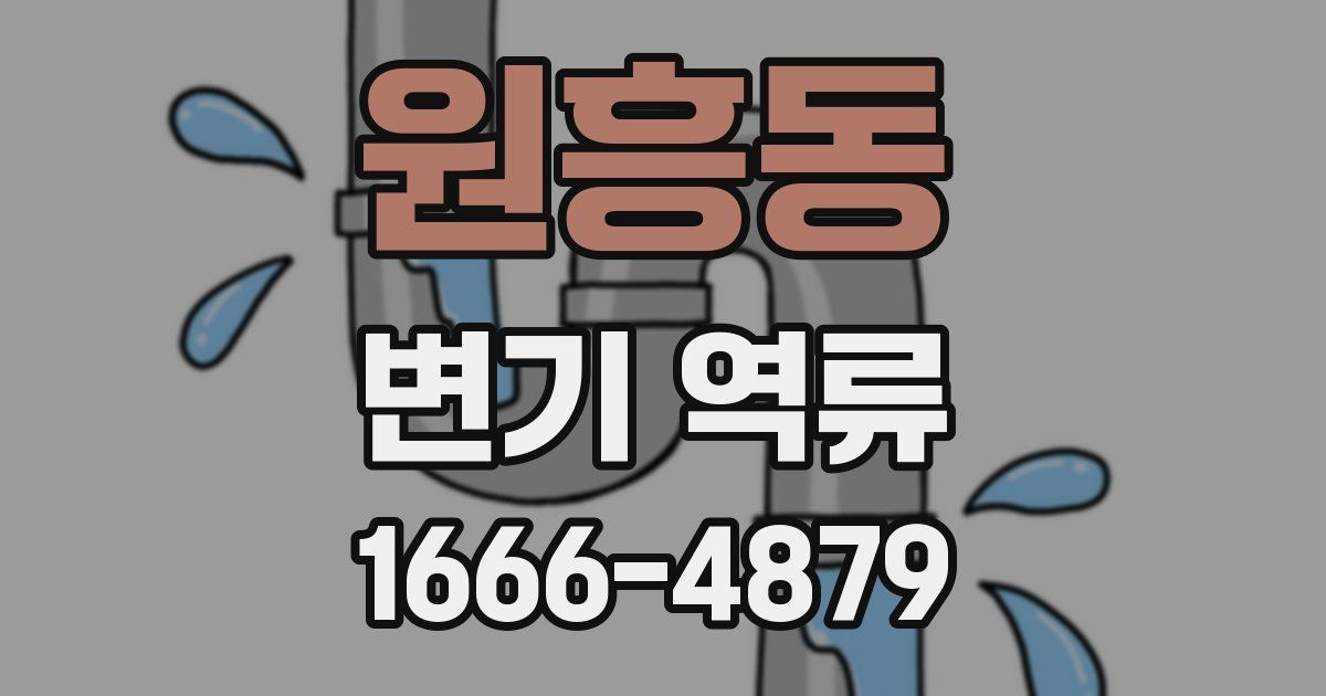 원흥동 변기 역류