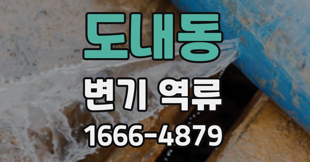 도내동 변기 역류