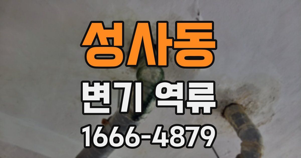 성사동 변기 역류